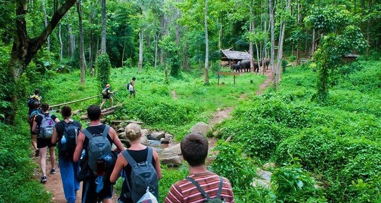 Cuc Phuong National Park 1 Day Tour from Hanoi