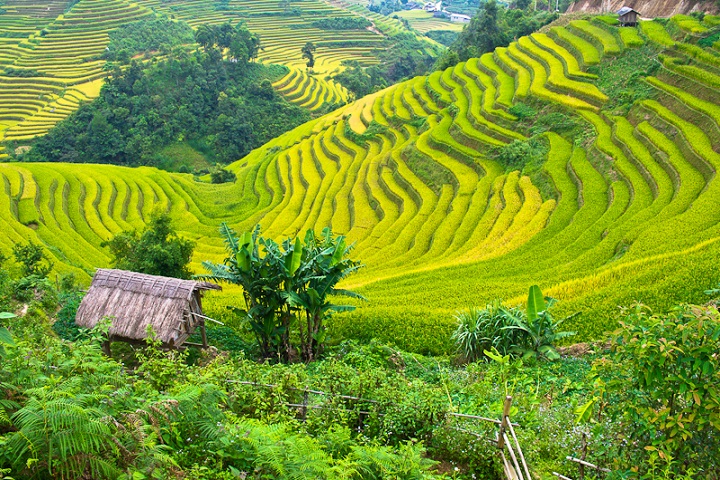 Mai Chau 1 Day Tour from Hanoi – Cycling & Local Culture