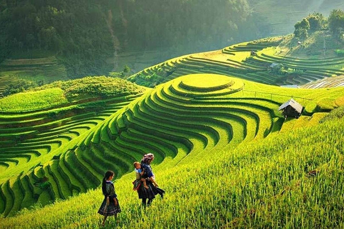 Northern Vietnam 5 Days 4 Nights Tour – Hanoi, Sapa & Ha Long Bay Adventure