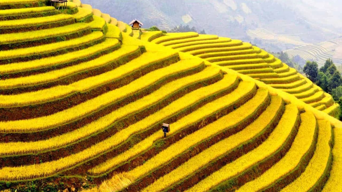 Sapa 2D1N Trekking Tour from Hanoi – Authentic Homestay