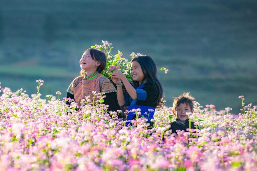 Ha Giang Loop Car Tour 3 Days 3 Nights from Hanoi Old Quarter