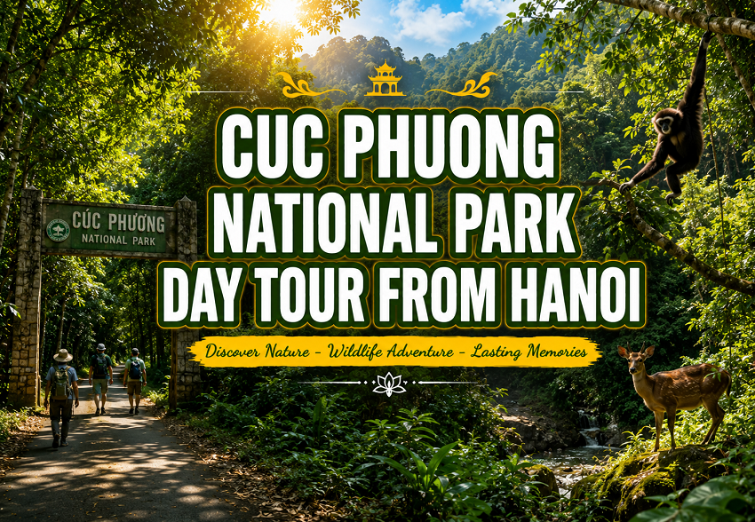Cuc Phuong National Park Day Tour from Hanoi | Nature Adventure