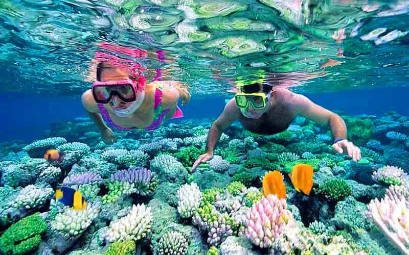 Cham Islands 1-Day Tour from Da Nang