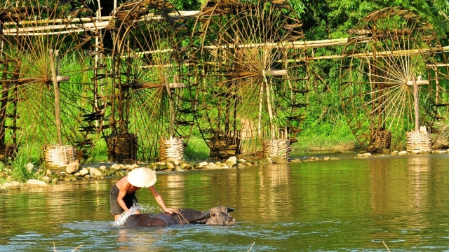 Pu Luong 3-Day Adventure: Trekking, Cycling & Cooking Experience