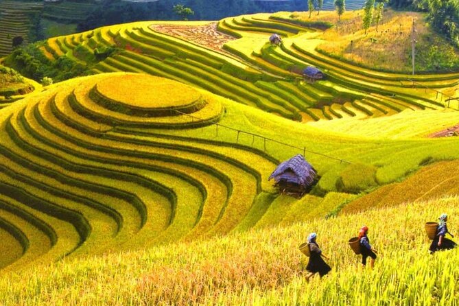 Sapa Trekking Tour 3 Days 2 Nights by Bus from Hanoi