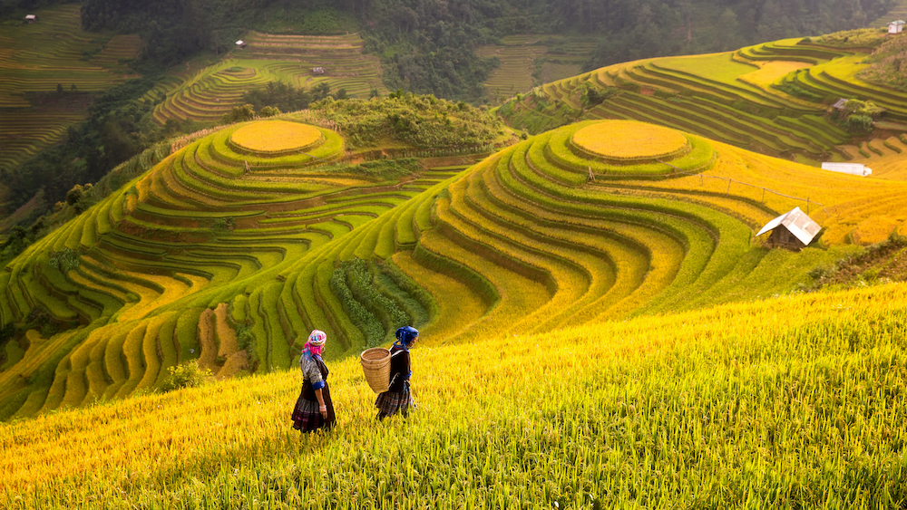 Northern Vietnam Discovery – 6 Days 5 Nights