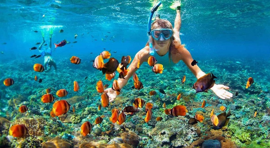 Private Snorkeling Tour Phu Quoc | Hidden Coral Reefs & Islands