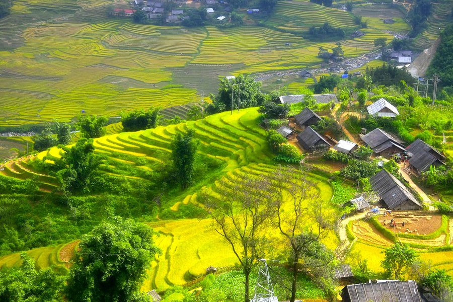 Sapa 2 Days 1 Night Tour From Hanoi | Cat Cat Trekking & Local Villages