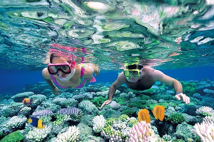 Private Snorkeling Tour Phu Quoc | Hidden Coral Reefs & Islands