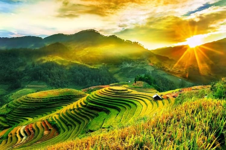 Vietnam Discovery Tour 20 Days – North to South & Mekong Delta