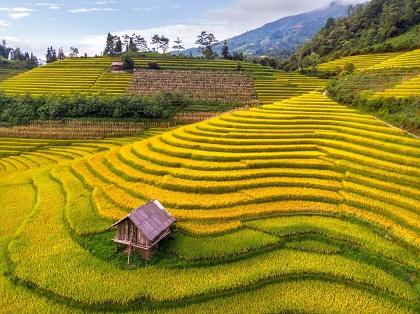 Vietnam Tour 20 Days: Complete Vietnam Discovery from North to South